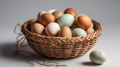 Eggene: Exploring the Versatility and Benefits of Eggs