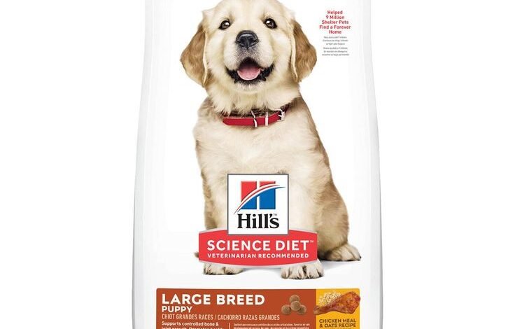 science diet puppy food​