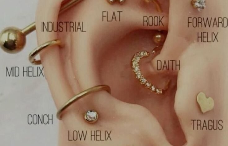 ear piercing chart​